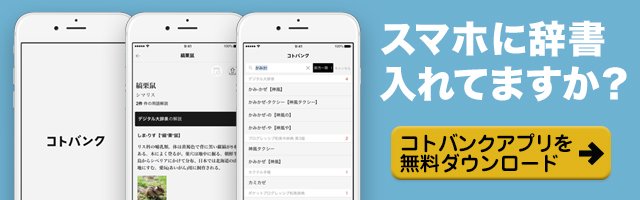 カジノ ライセンス 日本 企業のiPhoneアプリ 無料ダウンロードはこちら